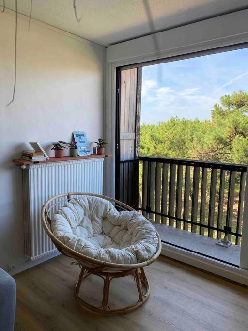 Grand T2 A 150M De La Plage Apartment Seignosse Bagian luar foto